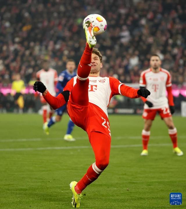 aoa体育体育网站-关于霍芬海姆青年队新晋球员脱颖而出，备受期待的信息