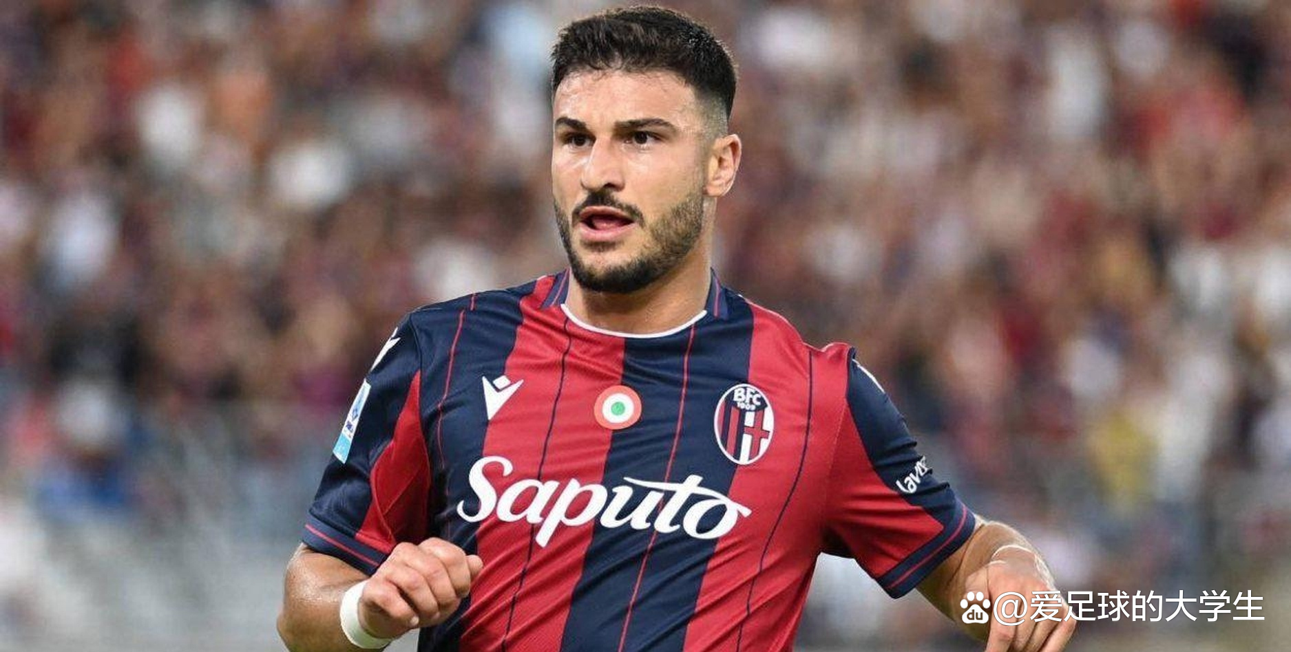 博洛尼亚主场击败斯帕尔,继续保持上升势头的简单介绍 博洛尼亚主场击败斯帕尔,继续保持上升势头的简单介绍